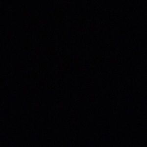 Meet your Posher, Leo